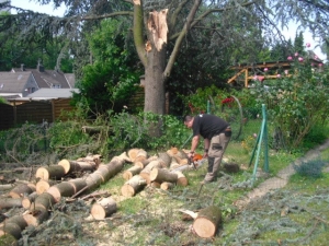 Baumsägearbeiten (7).JPG